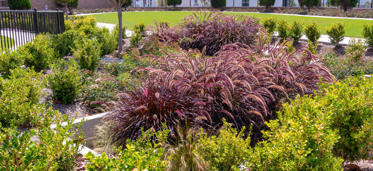 Filterra Bioscape Vault bioretention system. 