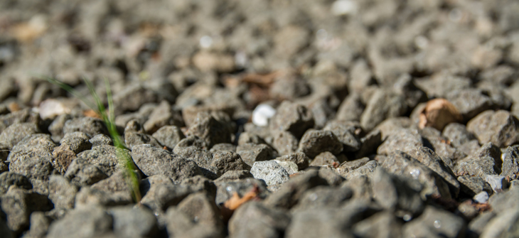 image stones and grass