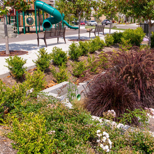 A Filterra Bioscape stormwater bioretention system. 