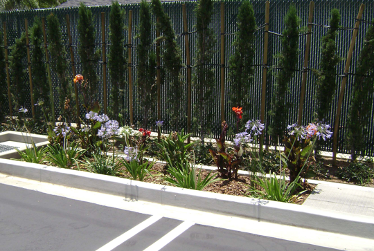 Modular Wetlands Linear biofiltration system. 