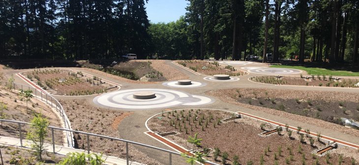 Landscaped garden with circular concrete structures, young plants, and paths, surrounded by tall trees under a clear blue sky.